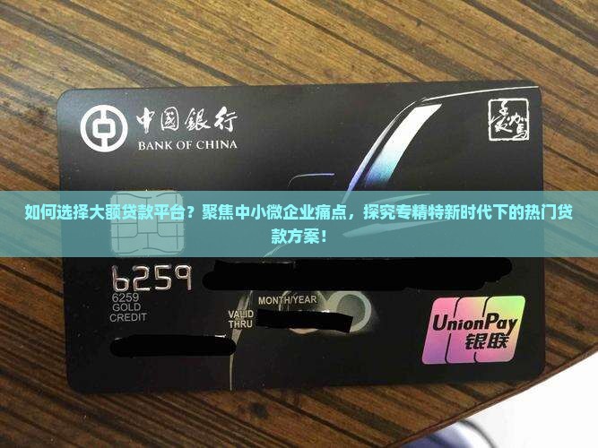 如何选择大额贷款平台？聚焦中小微企业痛点，探究专精特新时代下的热门贷款方案！