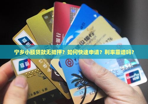 宁乡小额贷款无抵押？如何快速申请？利率靠谱吗？