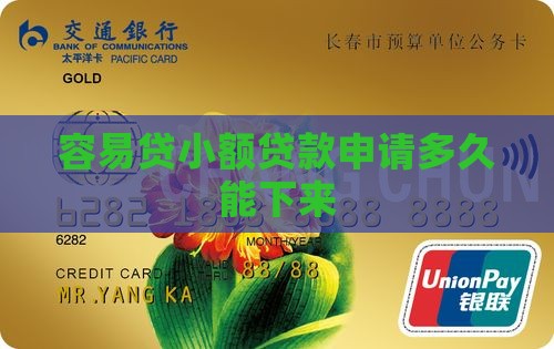 容易贷小额贷款申请多久能下来