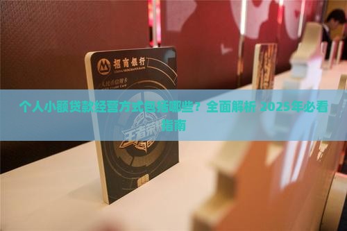 个人小额贷款经营方式包括