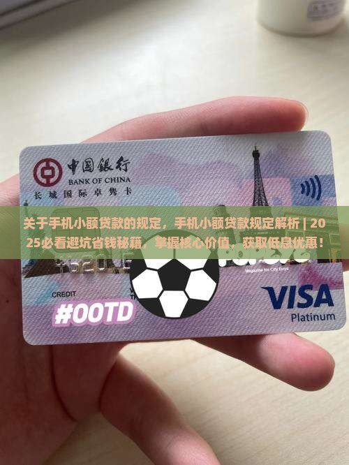 关于手机小额贷款的规定