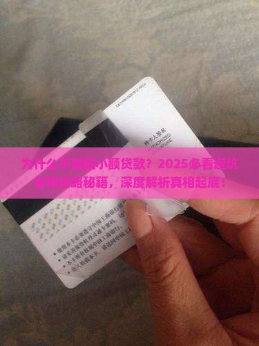 为什么不能碰小额贷款呢