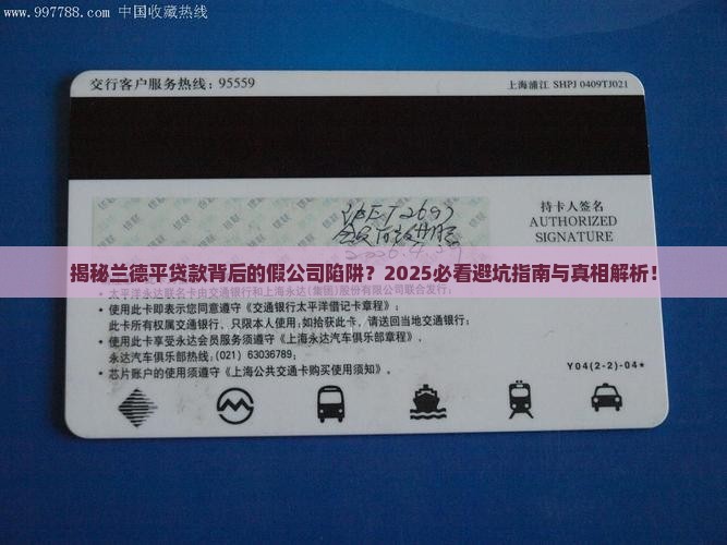 兰德平贷款开假公司吗