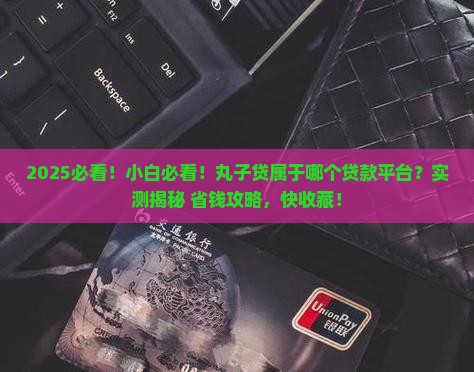 丸子贷属于哪个贷款平台