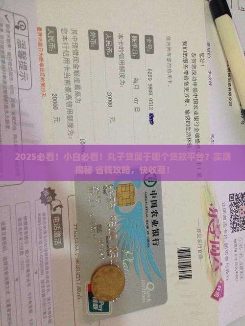 丸子贷属于哪个贷款平台