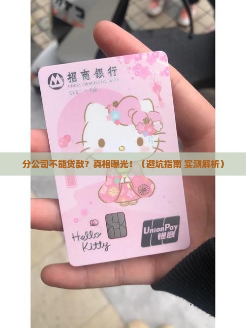 分公司为什么不能申请贷款