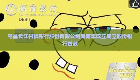 屯昌长江村镇银行贷款