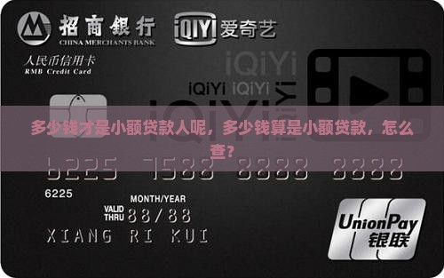 多少钱才是小额贷款人呢