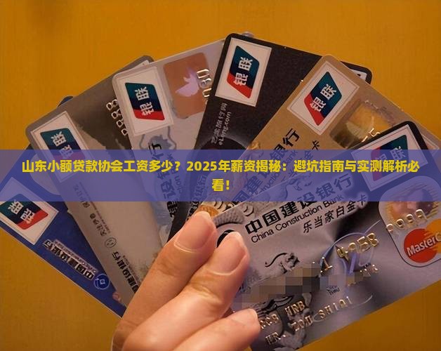山东小额贷款协会工资