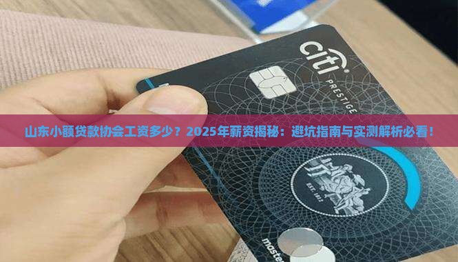 山东小额贷款协会工资