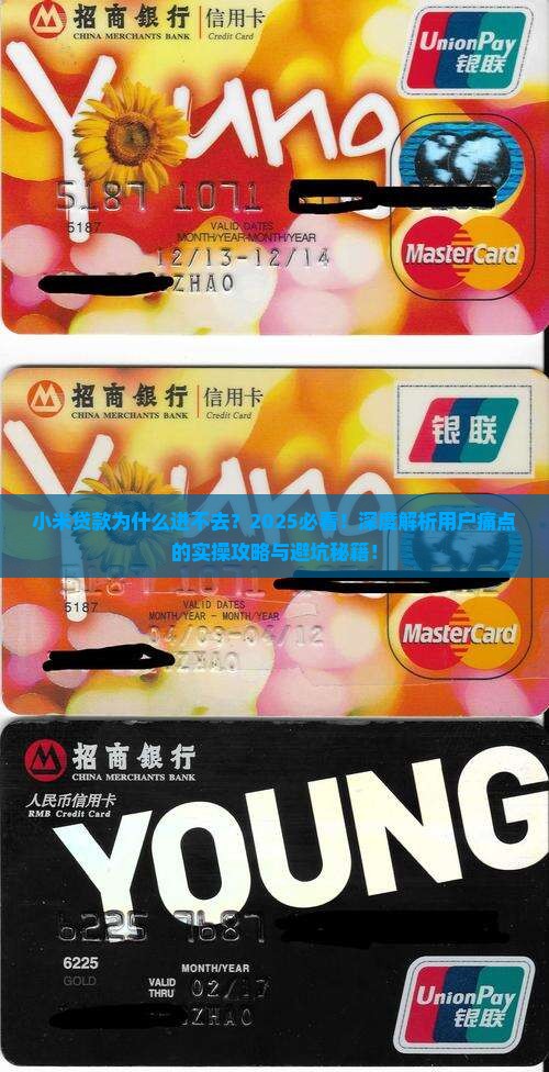 小米贷款为什么进不去