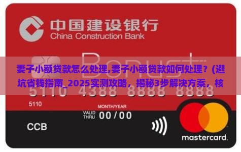 妻子小额贷款怎么处理
