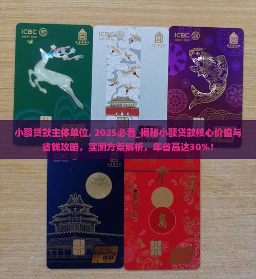 小额贷款主体单位