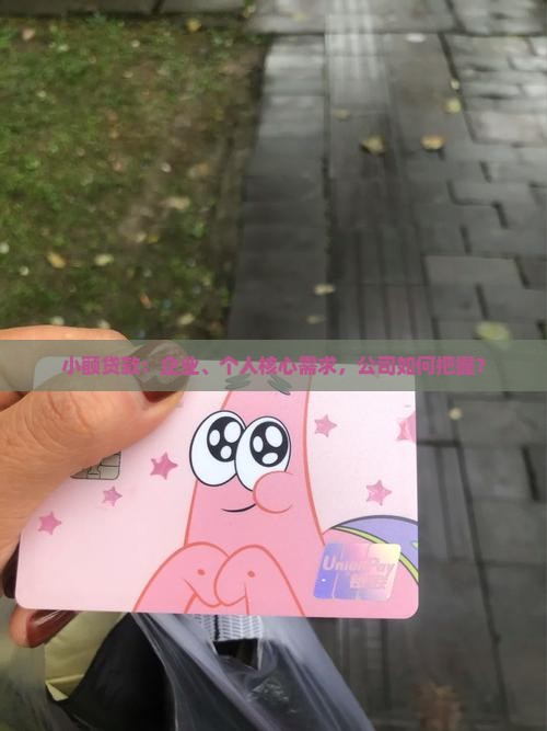 小额贷款可不可以企业