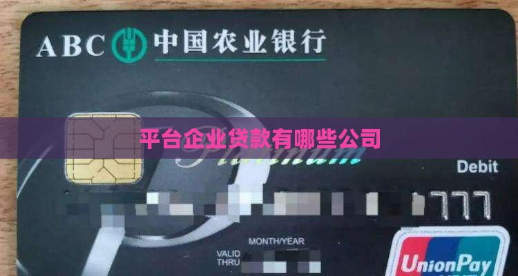 企业贷款平台有哪些公司
