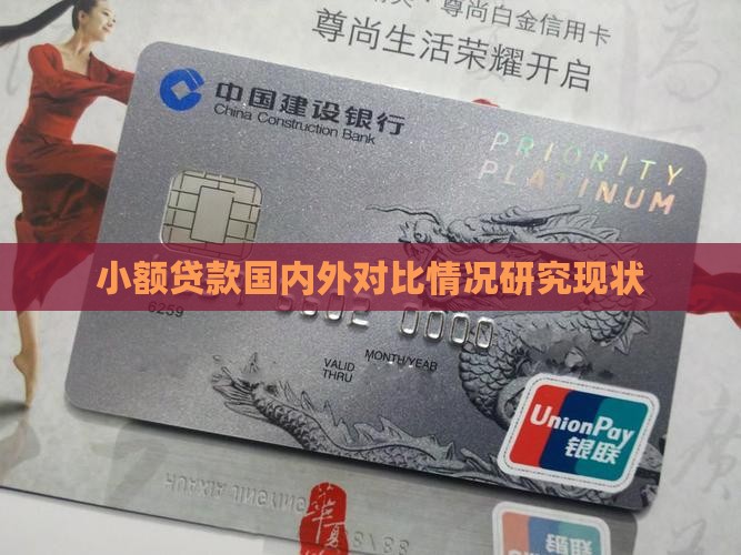 小额贷款国内外对比情况