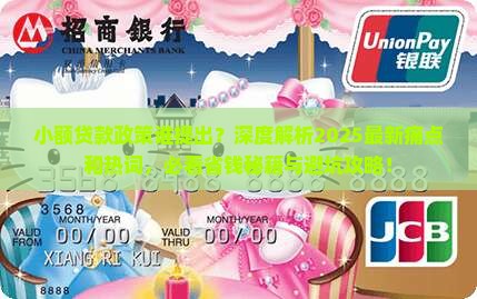 小额贷款政策谁提出