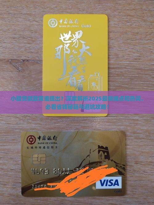 小额贷款政策谁提出