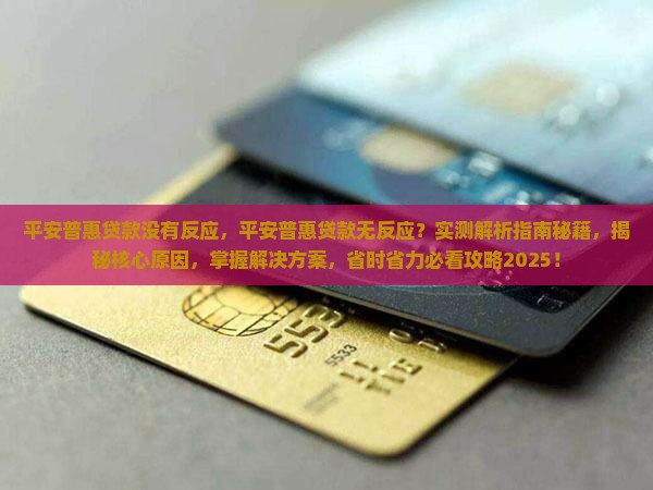 平安普惠贷款没有反应