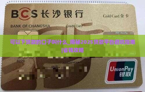 可以下贷款的口子叫什么