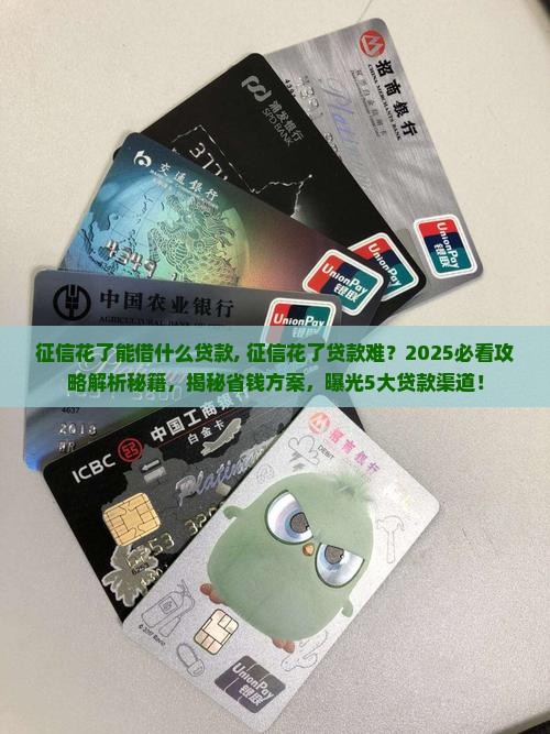 征信花了能借什么贷款