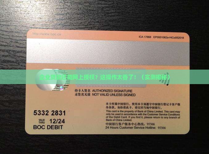 企业贷款可以网上授权吗
