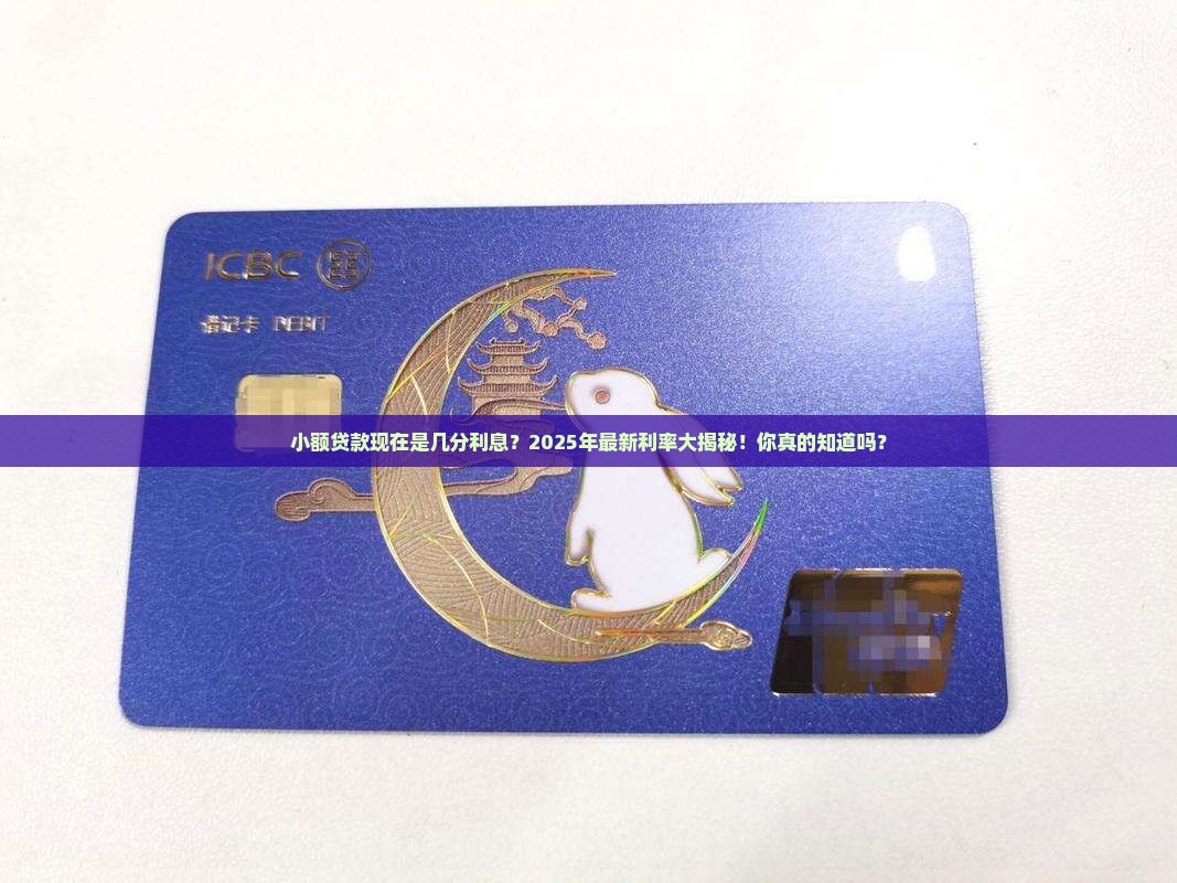 小额贷款现在是几分利息