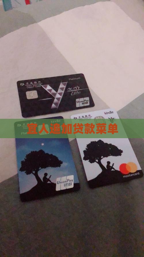 宜人贷追加贷款菜单