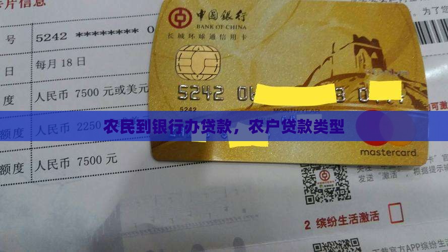 农民到银行办贷款