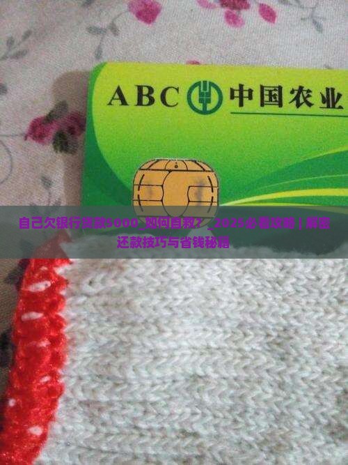 自己欠银行贷款5000