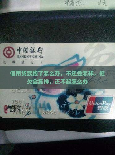 信用贷款跑了怎么办