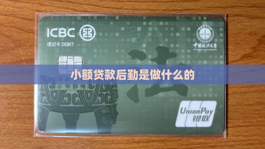 小额贷款后勤是干嘛的