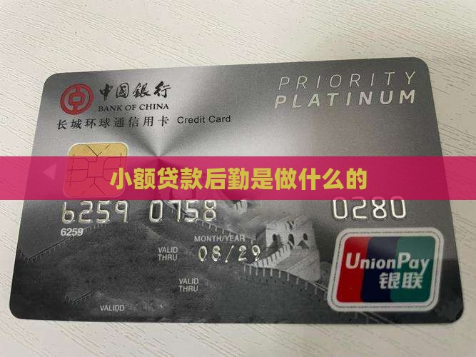 小额贷款后勤是干嘛的