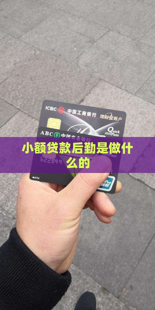 小额贷款后勤是干嘛的