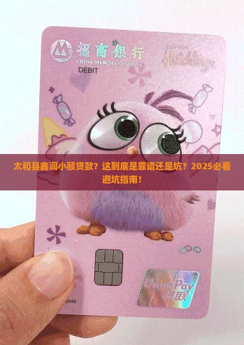 太和县鑫润小额贷款