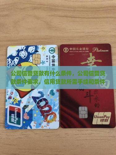 公司信誉贷款有什么条件