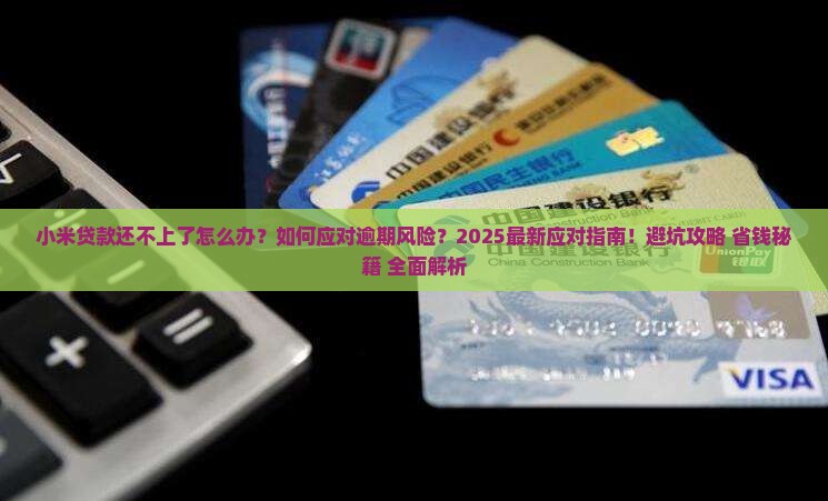 小米贷款还不上了咋搞