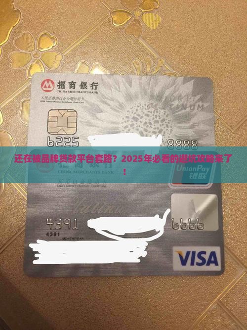 品牌的贷款平台