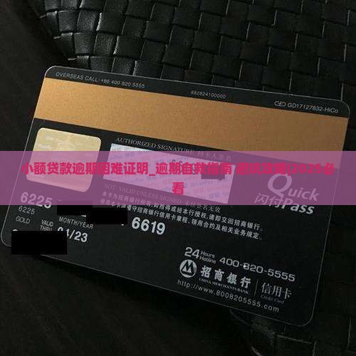 小额贷款逾期困难证明