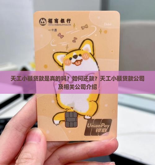 天工小额贷款