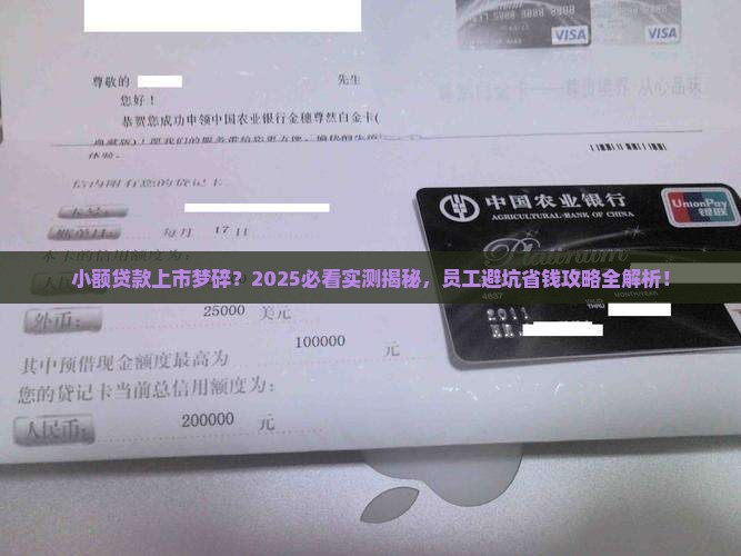 小额贷款上市员工梦碎