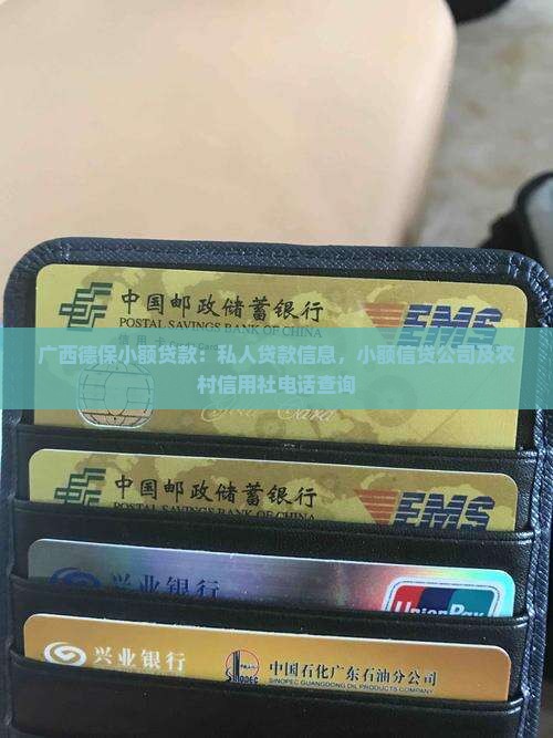 广西德保小额贷款