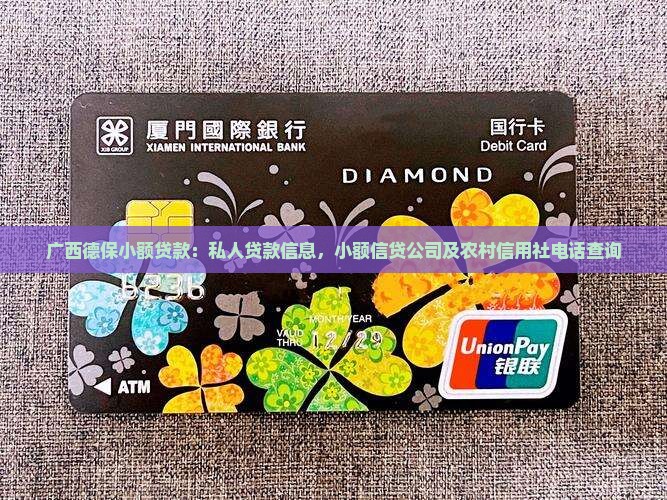 广西德保小额贷款