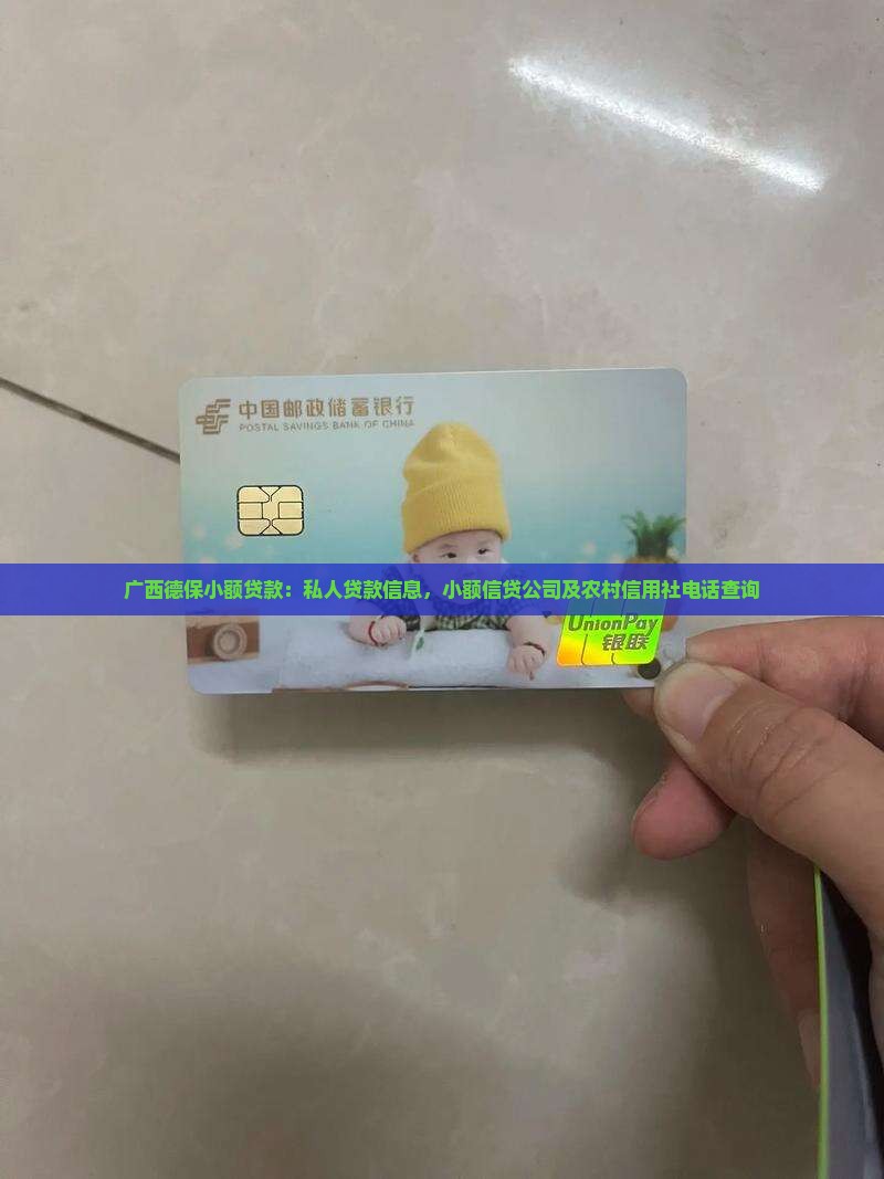 广西德保小额贷款