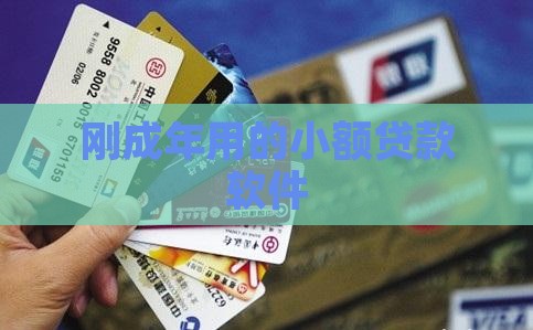 刚成年用的小额贷款软件