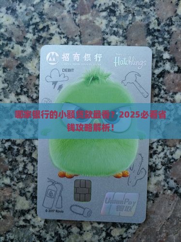 小额贷款在哪家银行贷款