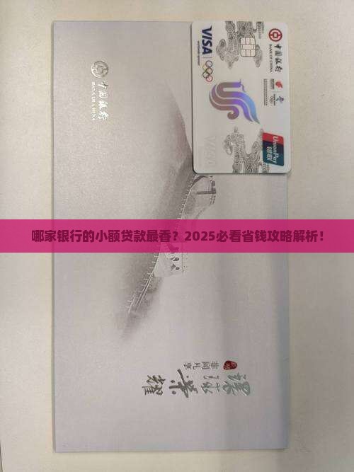 小额贷款在哪家银行贷款