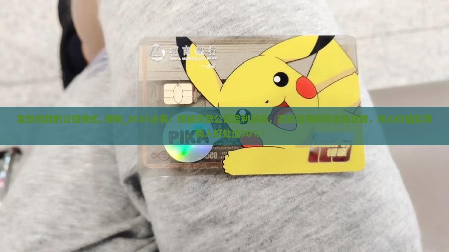 发放贷款的公司模式