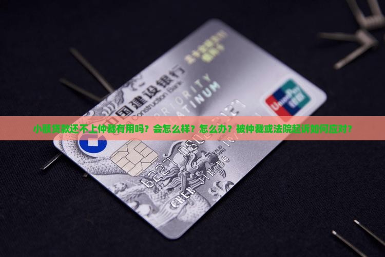 小额贷款还不上仲裁