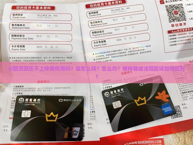 小额贷款还不上仲裁
